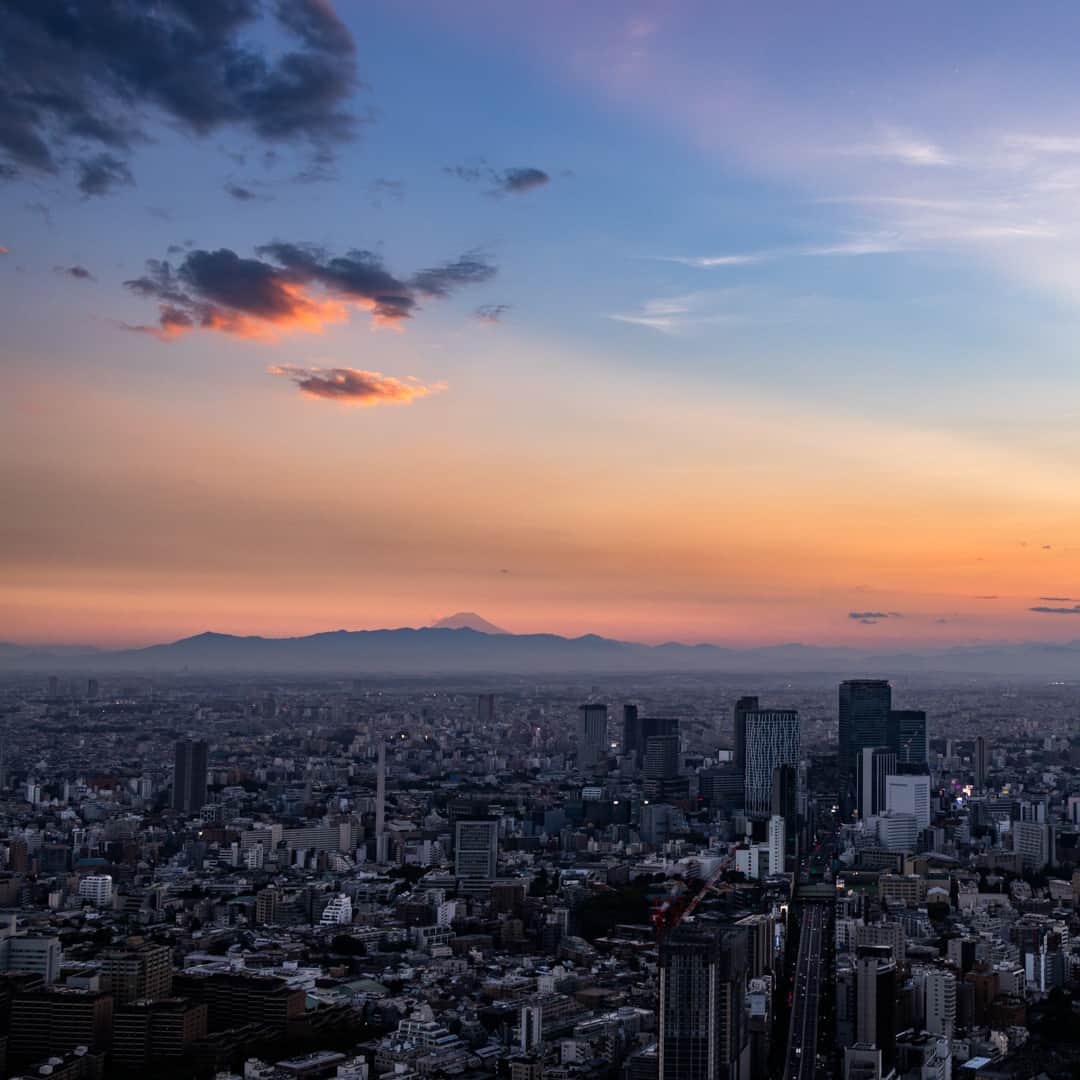 Tokyo City View 六本木ヒルズ展望台さんのインスタグラム写真 - (Tokyo City View 六本木ヒルズ展望台Instagram)「＼8/31（木）まで！／  「Summer Sky Deck 2023 ～海風感じるスカイデッキで夕涼み～」🐳 東京湾まで見晴らせるスカイデッキでは海を感じ、楽しめるさまざまな演出を実施中。 夜遅くまでオープンするのもあと僅かです！ ⭐13:00～22:00（最終入場21:30）⭐ ※9/1（金）より通常の営業時間11:00～20:00（最終入場19:30） ※雨天、荒天、雷雲発生時はクローズ https://tcv.roppongihills.com/jp/exhibitions/summer2023/  撮影：荒谷良一  #六本木ヒルズ展望台 #スカイデッキ #東京シティビュー #富士山 #夕景 #展望台 #絶景 #景色 #荒谷良一 #RoppongiHillsObservation #skydeck #TokyoCityView #SummerSkyDeck2023 #TCV #mtfuji #Tokyo #japantravel #tokyo #roppongi #RyoichiAratani #travelgram #japantrip #japan_daytime_view #japan_of_insta #bestjapanpics #tokyomuseum #artoftheday」8月29日 13時07分 - tokyocityview