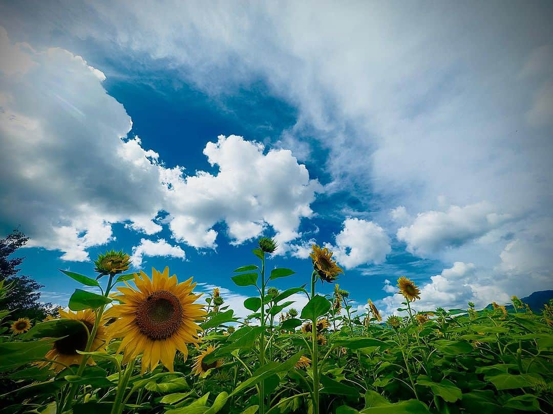 蜷川実花さんのインスタグラム写真 - (蜷川実花Instagram)「子供まみれで大変だったけど☀️楽しい夏休みが終わるー。 子供の頃の夏休みって本当に特別な時間だった。終わるのが悲しくて悲しく💧 そんな気持ちを思い出しながら楽しかった旅行の写真をながめてます。 夏休み🌻っていいなぁー。 #夏休み #airbnb  Thanks Airbnb covering the stay @airbnb」8月29日 13時09分 - ninagawamika