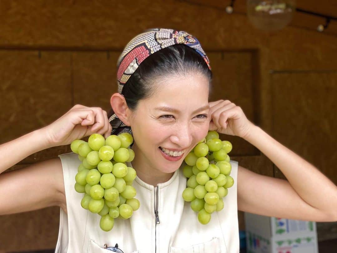 加藤理恵のインスタグラム：「遊びでたまに参加してるシャインマスカット作り。  ついに収穫😆‼️  樹上で完熟した激レア・激甘ゴールデンシャインが美味しすぎて感動🥹✨ . . . #みんなのぶどう #シャインマスカット #農業女子 #農業ガール #農園女子 #ぶどう園 #甲府市 #甲府のぶどう#つなぎ女子 #畑仕事 #作業着女子 #農業初心者 #農業はじめました #果物農家 #シャインマスカット大好き #grapesfarm #japangrapes」