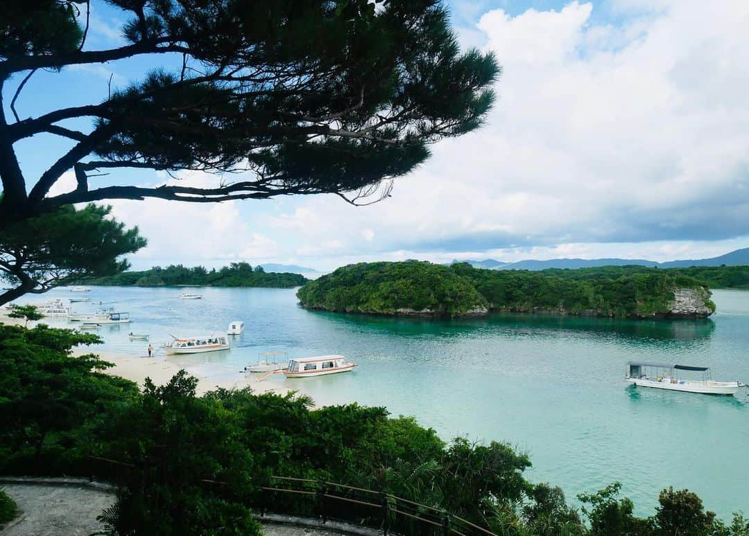 花清まゆこさんのインスタグラム写真 - (花清まゆこInstagram)「川平湾🚢✨🏝️  5年ぶりくらいに来ましたが、 変わらず素敵な場所でした☺️  次男は、小さい魚やカニやヤドカリを捕まえるのに夢中（笑） 彼に、映える写真を撮るのを求めるのは諦めました（笑）←写真3枚目🤭中腰で、戦闘態勢😆  砂浜と同じ色のカニ🦀 すばしっこくて、捕まえるのに苦労しました💦  #石垣島 #石垣島旅行  #川平湾 #川平湾綺麗すぎ  #photo  #photography  #沖縄 #沖縄旅行  #離島 #離島巡り  #絶景 #絶景スポット  #ヤドカリ #カニ #可愛かった」8月29日 13時24分 - mayuusa610