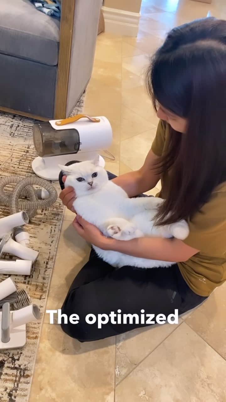 ミスター・ホワイトのインスタグラム：「I discovered the Airrobo Pet Vacuum – grooming and vacuuming in one easy step! With 5 specialized tools, it tackles 99.9% of loose pet hair and allergens. Compact, quiet, and easy to use, it’s a game-changer for my palace! It’s priced affordably too! Click the link in my bio to grab yours today! 🛒🌟 🐾  #airrobo#vakum#cat#cats#lifewithairrobo #pets #petlovers #catsofinstagram」