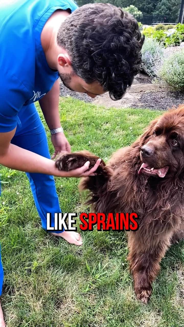ドクター・マイクのインスタグラム：「@chewy Pharmacy saved the day! #ad #ChewyPartner #ChewyPharmacy」