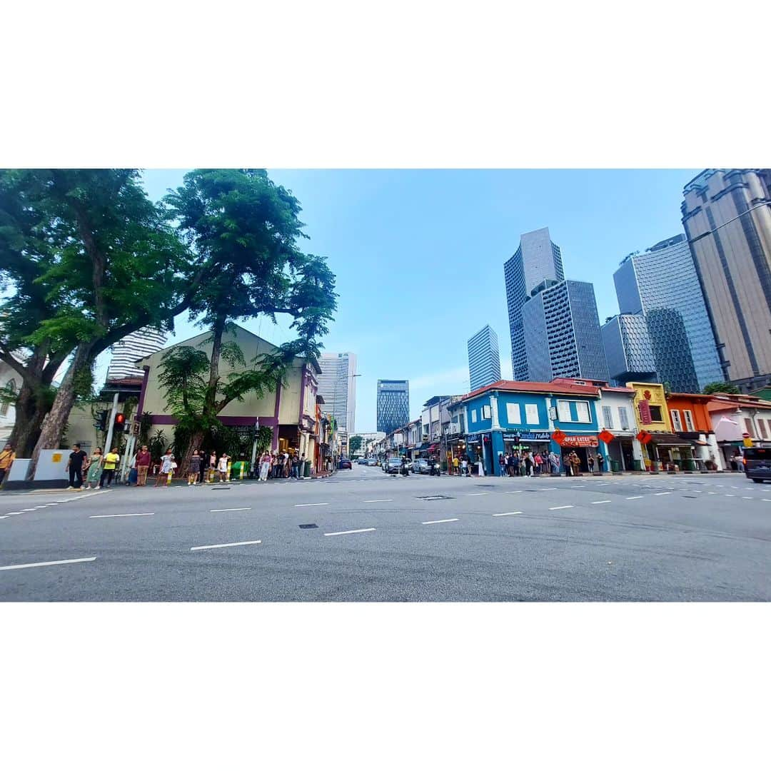 岩山立子のインスタグラム：「#singapore  #arabstreet」