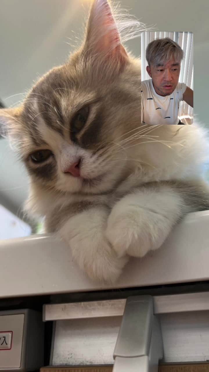 kougeishaのインスタグラム