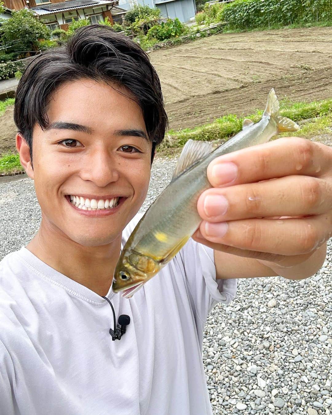 アニスとブラックオリーブのタプナードのレシピ