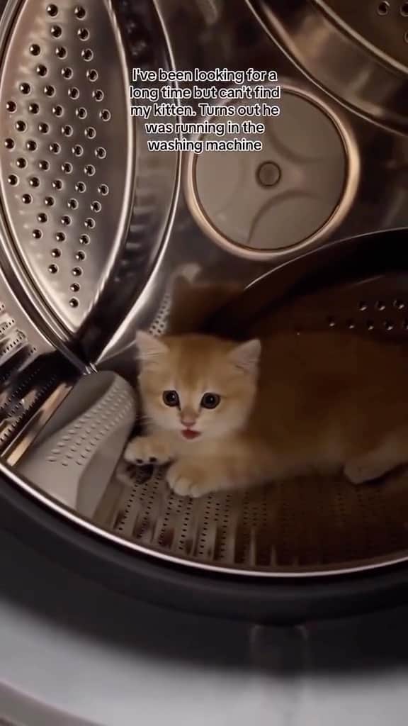 Cute Pets Dogs Catsのインスタグラム：「omg he got so tired he started panting 😭😭  Credit: beautiful branthua (tt) ** For all crediting issues and removals pls 𝐄𝐦𝐚𝐢𝐥 𝐮𝐬 ☺️  𝐍𝐨𝐭𝐞: we don’t own this video/pics, all rights go to their respective owners. If owner is not provided, tagged (meaning we couldn’t find who is the owner), 𝐩𝐥𝐬 𝐄𝐦𝐚𝐢𝐥 𝐮𝐬 with 𝐬𝐮𝐛𝐣𝐞𝐜𝐭 “𝐂𝐫𝐞𝐝𝐢𝐭 𝐈𝐬𝐬𝐮𝐞𝐬” and 𝐨𝐰𝐧𝐞𝐫 𝐰𝐢𝐥𝐥 𝐛𝐞 𝐭𝐚𝐠𝐠𝐞𝐝 𝐬𝐡𝐨𝐫𝐭𝐥𝐲 𝐚𝐟𝐭𝐞𝐫.  We have been building this community for over 6 years, but 𝐞𝐯𝐞𝐫𝐲 𝐫𝐞𝐩𝐨𝐫𝐭 𝐜𝐨𝐮𝐥𝐝 𝐠𝐞𝐭 𝐨𝐮𝐫 𝐩𝐚𝐠𝐞 𝐝𝐞𝐥𝐞𝐭𝐞𝐝, pls email us first. **」