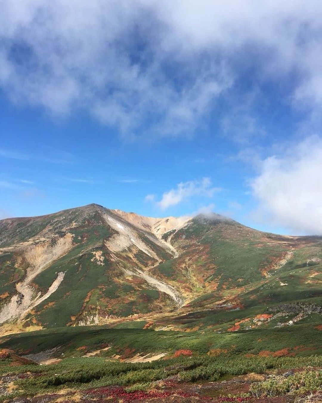 堀江聖夏さんのインスタグラム写真 - (堀江聖夏Instagram)「⌇ 北海道特集っっ☁️🍽️🗻📸 ⁡ 自然に溢れていました𓂃 ⁡ ________________________________  #北海道 #美瑛 #旭川 #青い池 #自然 #富良野 #スープカレー #ポートレート」8月29日 9時34分 - mina_horie