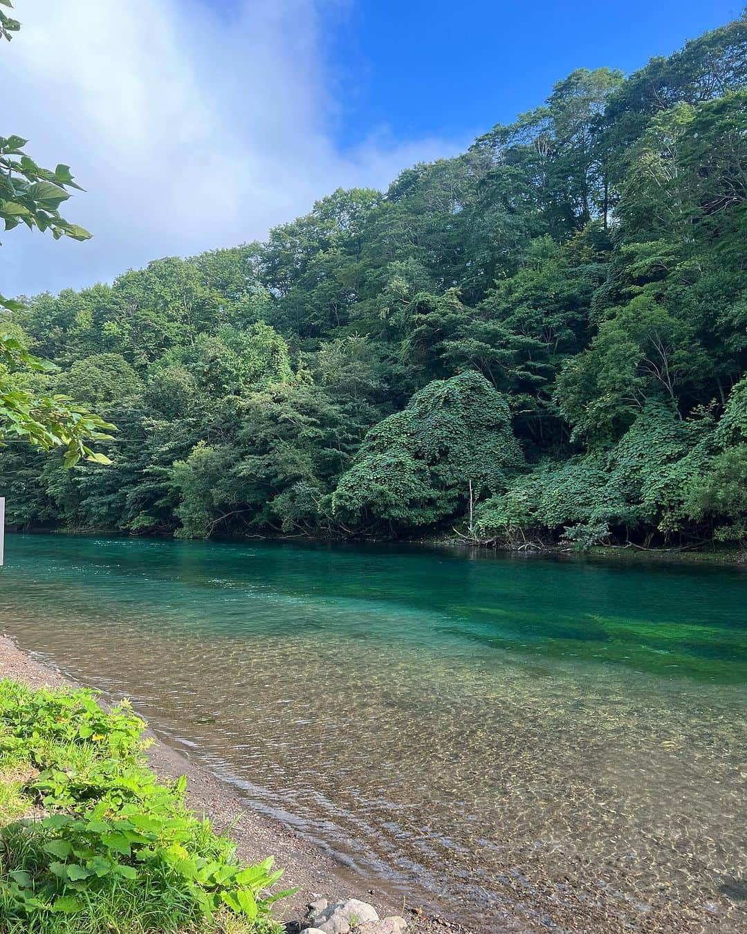 堀江聖夏さんのインスタグラム写真 - (堀江聖夏Instagram)「⌇ 北海道特集っっ☁️🍽️🗻📸 ⁡ 自然に溢れていました𓂃 ⁡ ________________________________  #北海道 #美瑛 #旭川 #青い池 #自然 #富良野 #スープカレー #ポートレート」8月29日 9時34分 - mina_horie