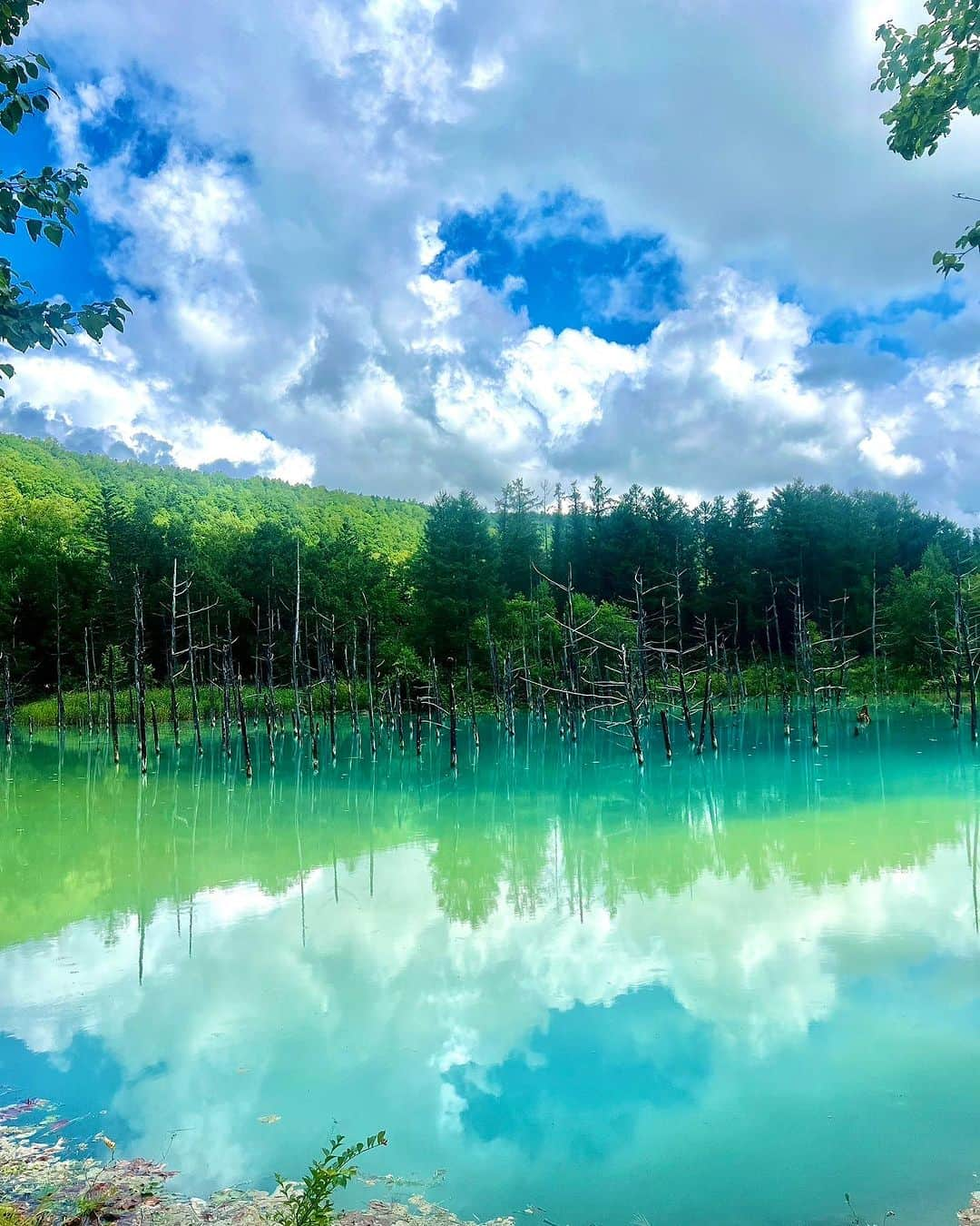 堀江聖夏さんのインスタグラム写真 - (堀江聖夏Instagram)「⌇ 北海道特集っっ☁️🍽️🗻📸 ⁡ 自然に溢れていました𓂃 ⁡ ________________________________  #北海道 #美瑛 #旭川 #青い池 #自然 #富良野 #スープカレー #ポートレート」8月29日 9時34分 - mina_horie