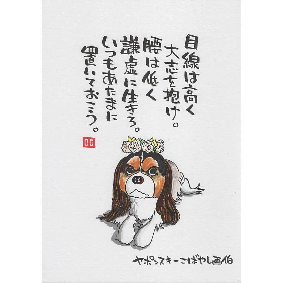 ヤポンスキーこばやし画伯のインスタグラム：「けもの日和連続投稿です。 今日はhibari_hiroyukaさん家の犬です。 キャバリアですかね？ ムスっとした表情が最高です。 頭にバラを乗せておりこうさんにしているのか、 乗せた違和感でフリーズしてしまっているのか、とか 色々想像膨らみます。 いいお写真ありがとうございます。  イラスト #ポエム  #イラストエッセイ #エッセイ #ヤポンスキー #ヤポンスキーこばやし画伯 #こばやし画伯 #芸人 #絵 #ポストカード #詩 #アート #言葉 #言葉の力 #人生 #生き方 #イラストグラム #イラストレーター #つぶやき #可愛い #前向き #ポジティブ #癒し #名言 #格言 #けもの日和」