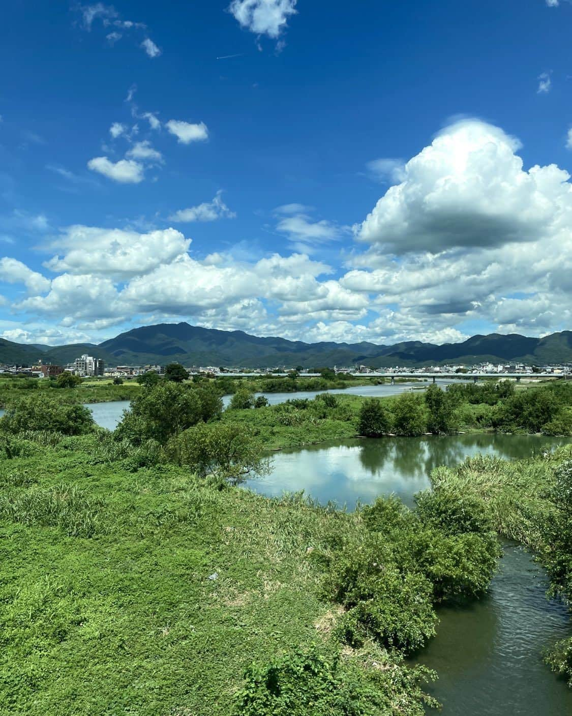 堀込泰行のインスタグラム：「夏い！☀️」