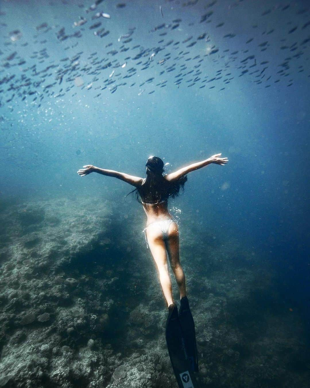 福田朋夏さんのインスタグラム写真 - (福田朋夏Instagram)「たくさんの小魚達を見るとキラキラしててついつい追いかけて小魚達の中に入りたくなる🐟🐟🐟🐟🐟🐟🐟✨✨✨  📷　@i_am_tomomiiii  @alchemy_hellas」8月29日 10時39分 - tomoka_fukuda