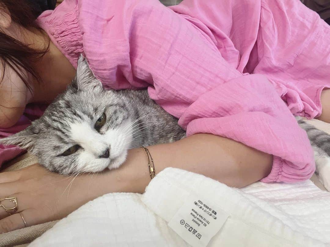 坂本美雨のインスタグラム：「お昼寝してたらいつのまにか隣で添い寝してくれててたまらなく幸せで、サバも幸せそうな顔してるかなーと思って撮ってみたら完全にしゃーないなー顔だった。  #cat #サバ美」