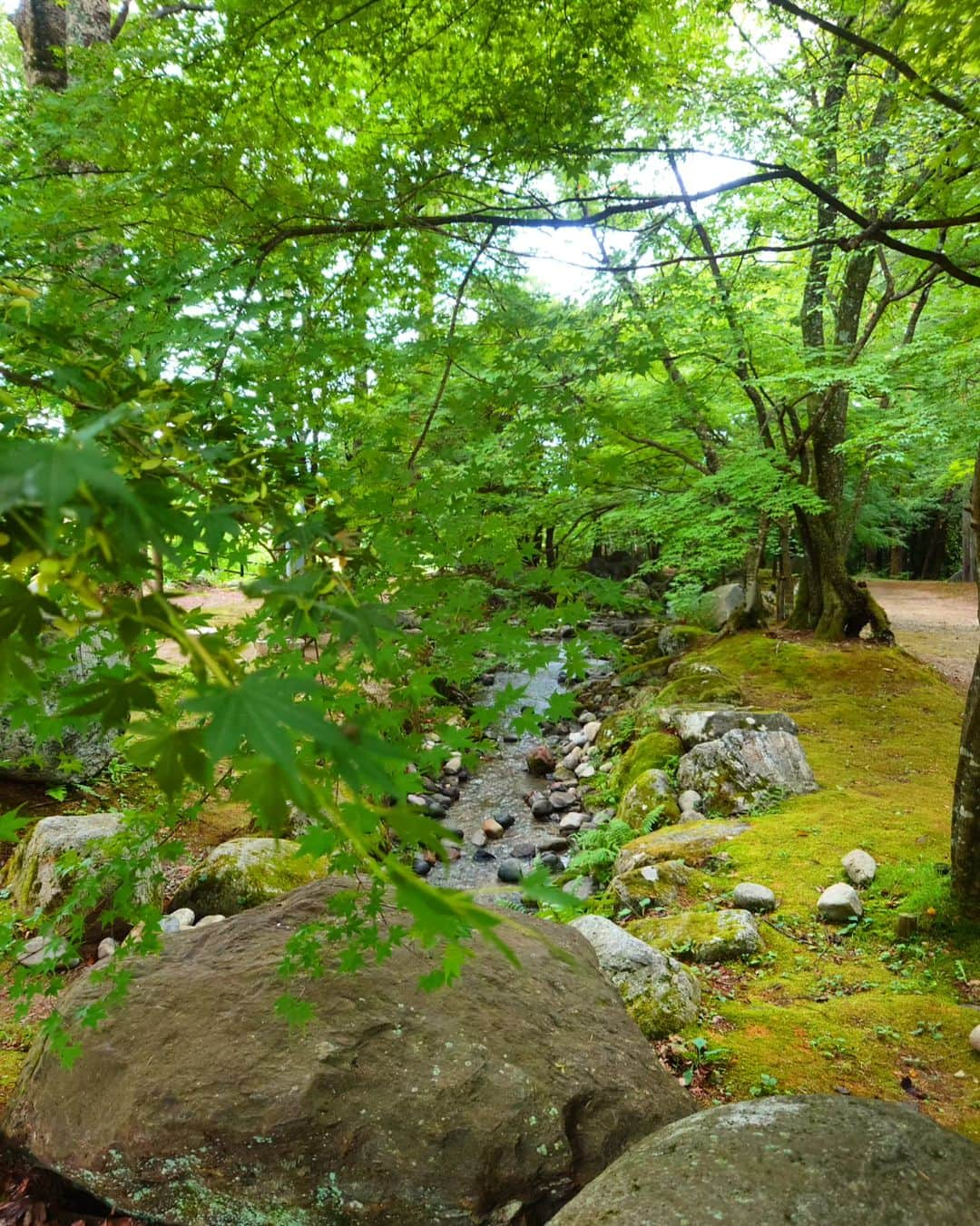 k30858mのインスタグラム：「大好きな川🤎🤍⛰️🪨🪵🌲🌳🌿🏞️  #夏#夏休み#2023#2023夏休み#夏休みpic#帰省#大好きな場所#大好きな空#大好きな山#大好きな景色#大好きな香り#深呼吸#リセット#リフレッシュ#refresh#power#powercharge#安心する場所#田舎#地元#緑#green#山#森#長野#景色#実家#🌲#japan#記録」