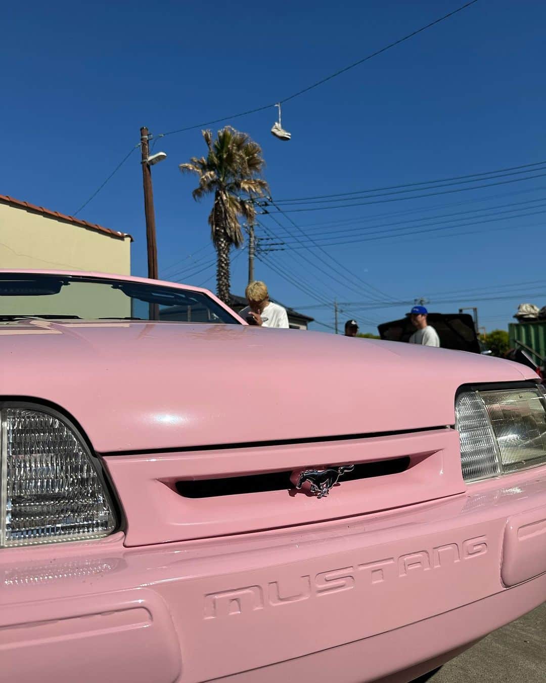 Minamiさんのインスタグラム写真 - (MinamiInstagram)「pink horse🐴🩷✨ last slide make a wish」8月29日 21時23分 - minami_cream