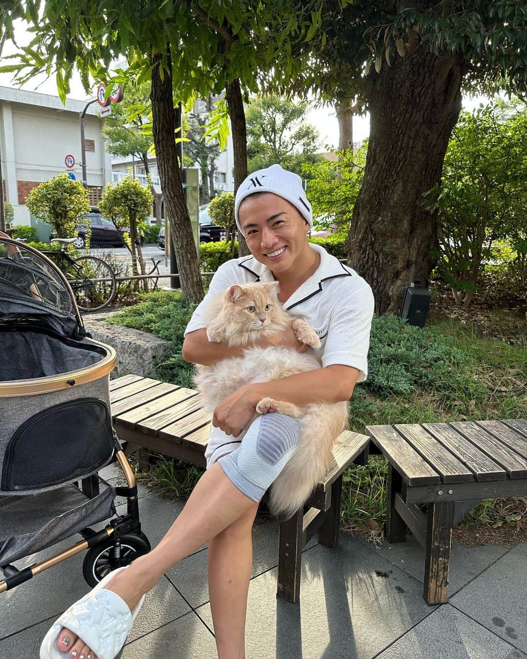 Yushi Sakuraのインスタグラム：「俺の相棒サイベリアンのジェラート🐈 いつも朝から喋りかけてくるし月に一回くらいは外にも連れ出します😂  可愛すぎて癒し🍀  10kgありますw  #サイベリアン#猫」