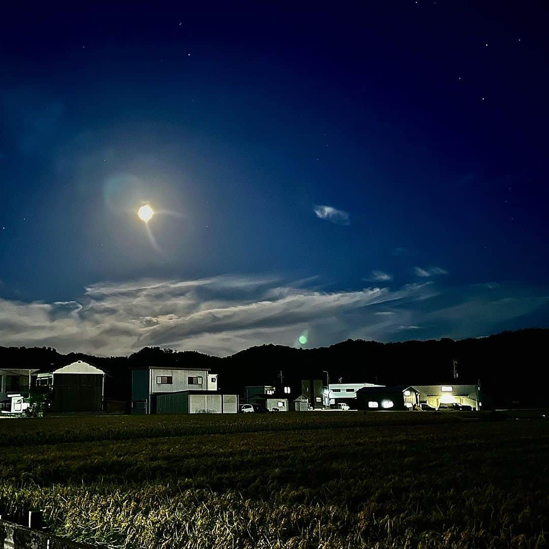 aisenさんのインスタグラム写真 - (aisenInstagram)「こんばんは🌕アイセン中の人です😃  お風呂掃除の黒カビ編…の前に今日はちょっとブレイクで私たちアイセンの会社のある和歌山と私たちの会社周りをちょっとご紹介✨  私たちアイセンの会社があるのは和歌山県海南市🍊和歌山市の南に位置する市で関西空港から南に40分ほど車で走ったところにあります🚗  ご存知の方もいらっしゃると思いますが、海南市は棕櫚という木を使った日用品産業が栄え、私たちのような日用品メーカーがたくさん❗️今でも国内の家庭用品の多くのシェアは海南市のメーカーが占めていると言っても過言ではありません✌️他にも気候を生かした紀州黒江塗り漆器などの伝統文化、他には鈴木性発祥の町やお菓子発祥の町など様々な文化のある町です✨  夏は暑く、冬は寒い四季を肌で感じられる自然環境の中、今は周りはお米の収穫間近で景色は黄金色に染まります🌾この時期になると、稲を刈り取った後の藁の匂いを感じられ、秋が近づいているなぁ、という気持ちになります😊  会社近くにはおこべさんの愛称で親しまれる宇賀部神社もあり、ご参拝に来られる方も多くいらっしゃいます⛩️  こんな風にたくさんの自然を五感で感じられる環境の中、私たちはものづくりを行なっています😊  今日はまだまだ暑い中ですが、ふと秋を感じた矢先に皆様に私たちの周りの環境を知ってもらいたいな❤️と思ってこんな投稿をさせていただきました😊  和歌山良いとこ一度は来てください😊その際はぜひ海南市も探索してみてください😄  #アイセン #aisen #和歌山 #海南市 #家庭用品 #日用品 #キッチンスポンジ #お皿洗い #風呂掃除 #お風呂掃除 #浴槽掃除  #トイレ掃除 #洗濯グッズ #暮らしを楽しむ #暮らしを整える #おうち時間 #家事楽 #時短家事 #楽しい掃除 #丁寧な暮らし #バススポンジ #便利グッズ #雑貨好きな人と繋がりたい #なんて素敵な和歌山なんでしょう #キレイを楽しむ #鈴木性発祥の地 #お菓子発祥の地 #黄金色に染まる街 #もうすぐ収穫 #秋が近い」8月29日 21時37分 - aisen_industrial