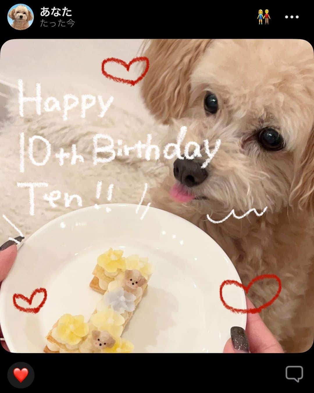 宮原響さんのインスタグラム写真 - (宮原響Instagram)「Tenくん10歳のお誕生日🎂 さっきケーキあげたばかりなので 動画、爆速で作りました( ◠‿◠ )笑 （BGMぴったりすぎてびっくりした） . てんくん一生に一度の 「10」記念日ということで👶🏻！！ どうしてもお願いしたかった @blanc.0430 さんに ケーキをつくっていただきました（ ; ; ） 本当に嬉しい、、、 食い意地張ったてんくんには少しずつあげることにします( ◠‿◠ )」8月29日 21時58分 - re_s08m