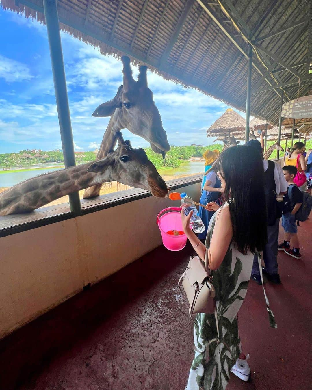 待鳥志織のインスタグラム：「サファリワールド🦒🦁🦛 どの子達も賢くて、可愛かった！ この日は2人とも大満足で帰って ずっと楽しかったって言ってた~！ カバの餌やり何回見ても笑いが出るw w w オラウータンとの2ショットお気に入りすぎるからまた別で載せる😂笑 #タイ#バンコク#タイ旅行#サファリワールド」