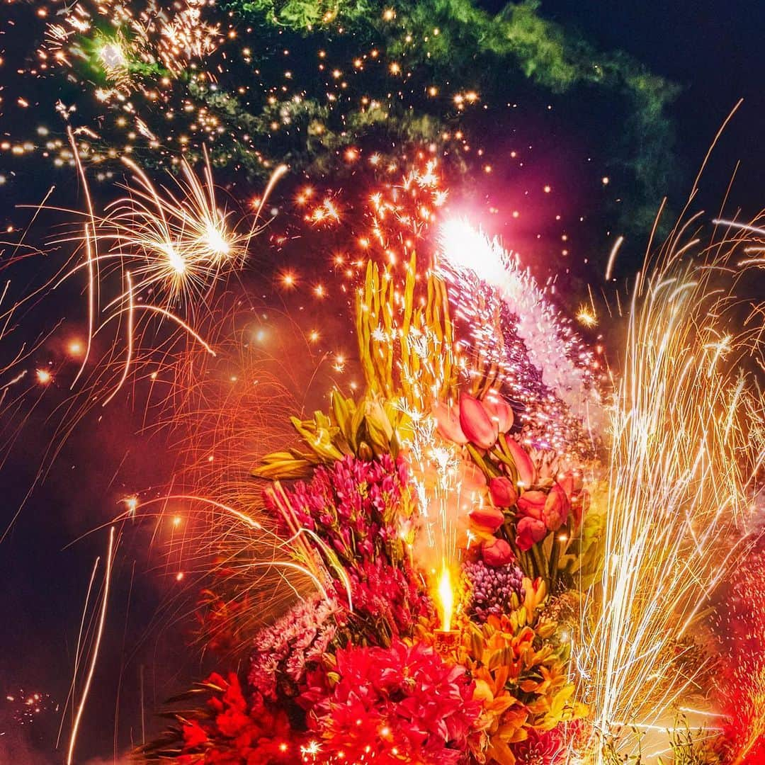 東信さんのインスタグラム写真 - (東信Instagram)「Botanical Sculpture “HANABI”  Date : August, 2023 Location: Japan  #azumamakoto  #shiinokishunsuke  #amkk #東信 #東信花樹研究所 #botanicalsculpture #hanabi #花火」8月29日 22時26分 - azumamakoto