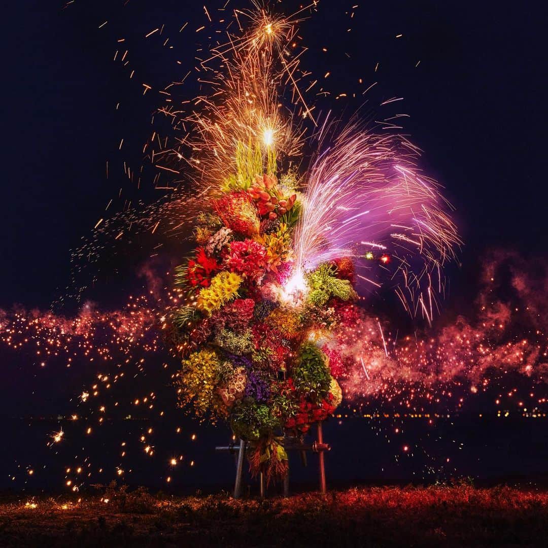 東信のインスタグラム：「Botanical Sculpture “HANABI”  Date : August, 2023 Location: Japan  #azumamakoto  #shiinokishunsuke  #amkk #東信 #東信花樹研究所 #botanicalsculpture #hanabi #花火」