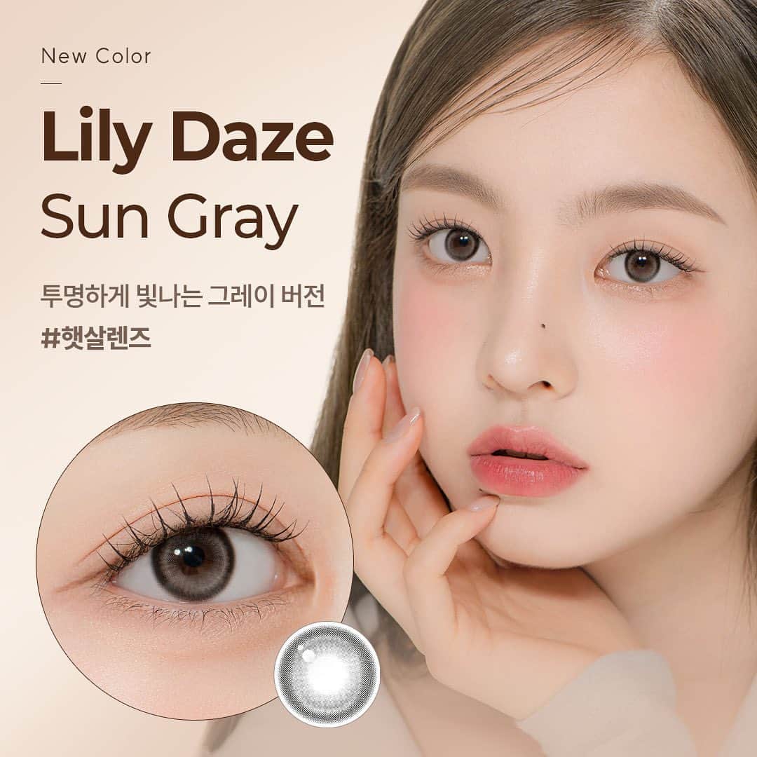 あさきのインスタグラム：「New Lily, Lily Daze Sun Gray Open🌞」