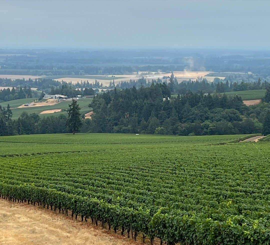 ジェイ・ハガリーさんのインスタグラム写真 - (ジェイ・ハガリーInstagram)「🍷Willamette Valley wine tasting with my big brother and my sister in law- #mcminnville #oregon」8月29日 13時52分 - jayhuguleyofficial