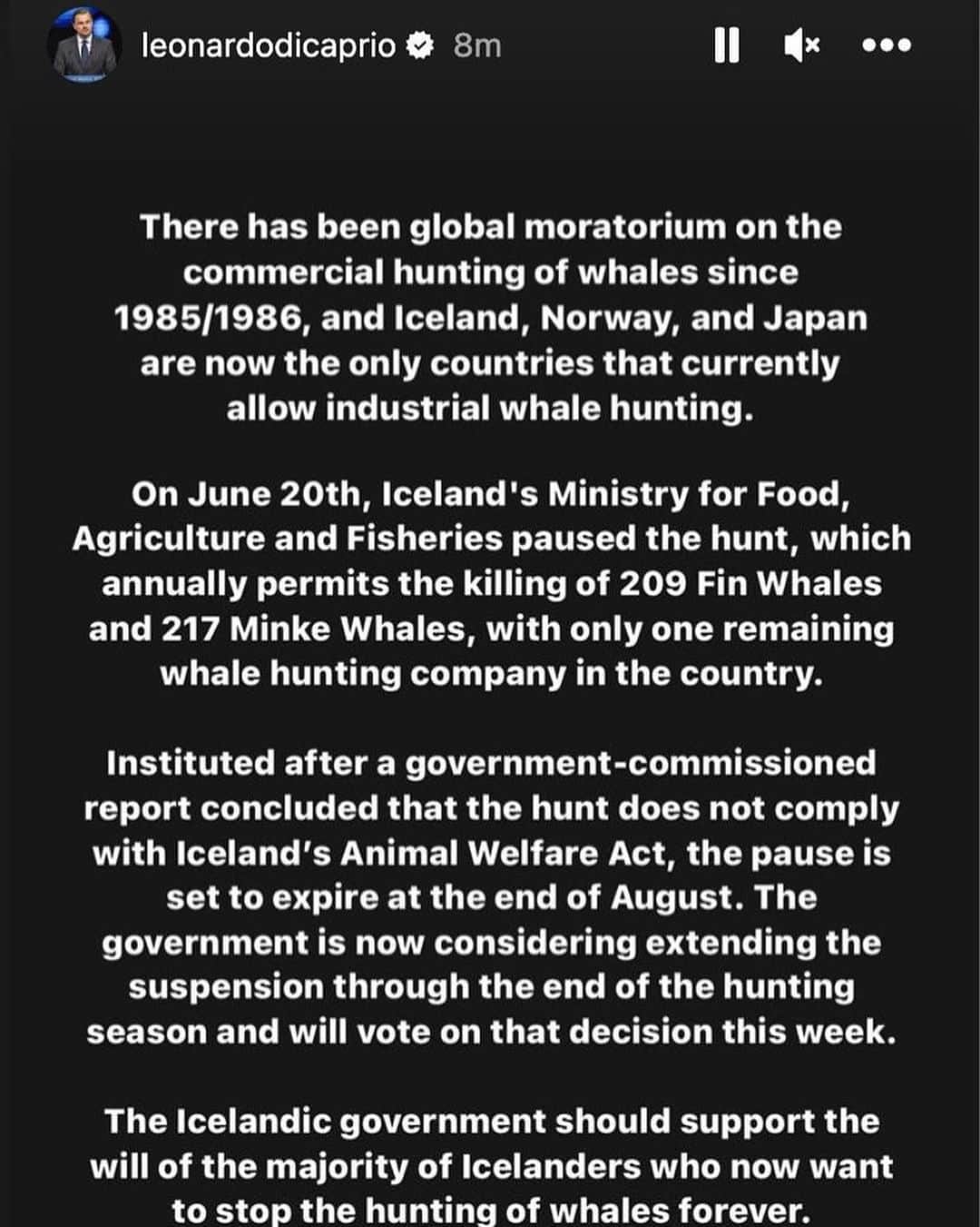 ジェイソン・モモアさんのインスタグラム写真 - (ジェイソン・モモアInstagram)「Repost from @last_whaling_station • Thank you @leonardodicaprio for speaking out for whales, and urging an end to the cruel whale hunt in Iceland   @svandissvavarsdottir  @katrinjakobsd  @liljaalfreds」8月29日 13時53分 - prideofgypsies