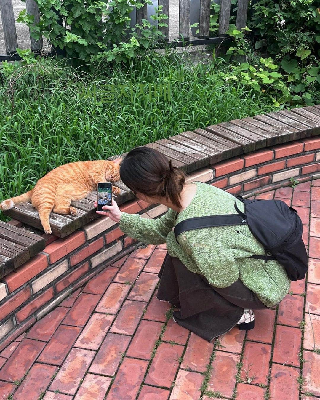 イ・ミンジュのインスタグラム：「깰까봐 조심조심..🐈 고앵이 매일 행복했으면 좋겠다😔🤍」