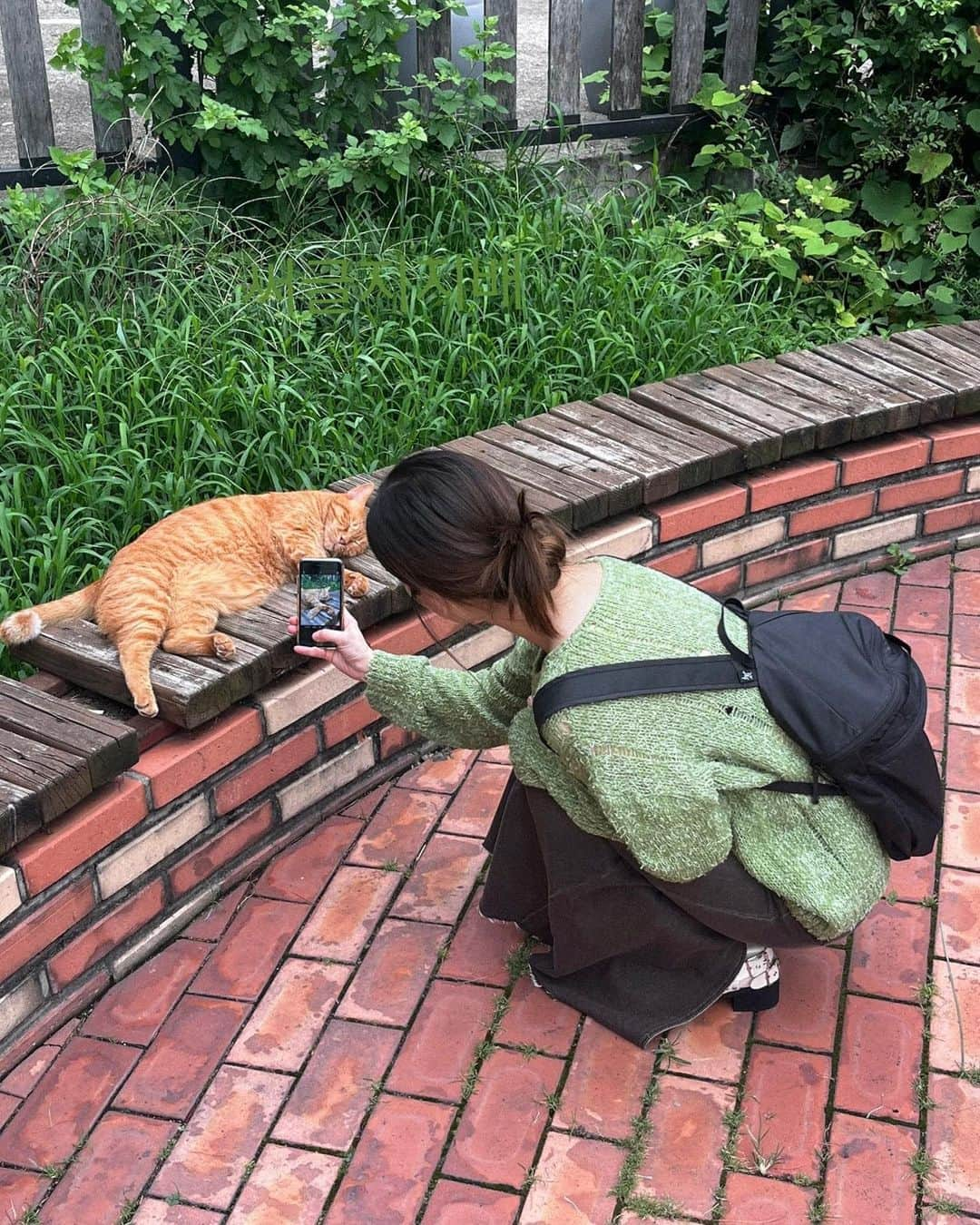 イ・ミンジュさんのインスタグラム写真 - (イ・ミンジュInstagram)「깰까봐 조심조심..🐈 고앵이 매일 행복했으면 좋겠다😔🤍」8月29日 14時18分 - lxoxoee