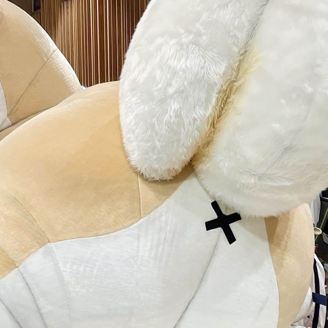 鈴木絢音のインスタグラム：「わんわん」
