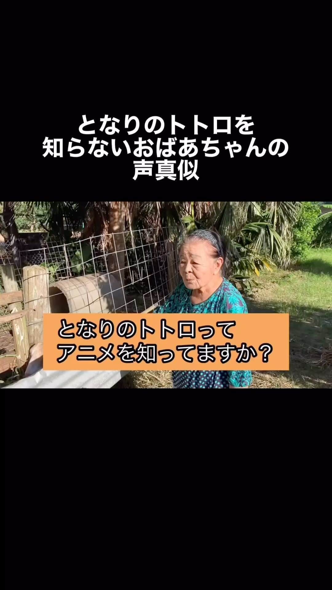 南の島のおばーと孫のインスタグラム：「となりのトトロを知らない おばあちゃんの声真似  #となりのトトロ #おばあちゃん #ジブリ #モノマネ」