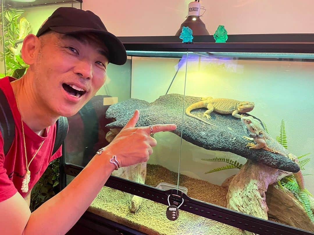 木山裕策さんのインスタグラム写真 - (木山裕策Instagram)「桂浜水族館に行ってきました🐟  こんなに近くてウミガメを見るのは初めてだったのでもう大騒ぎです😆。爬虫類もたくさんいるし、カピバラさんにも餌をやれるし、もう最高ですね😁❣️」8月29日 14時56分 - kiyamayusaku