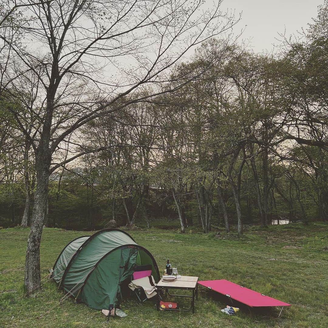 KIKIのインスタグラム：「ほぼ日のキャンププロジェクト 「Why Camp?」 キャンプの広さと深さ について  こいしゆうかさんとKIKIとのキャンプ談義が公開されています 全4回  今日8月29日には #02 がアップされています 対談中にも話題にあがりましたが こいしゆうかさんとは今回のキャンプが初対面 でもしぜんに楽しく話すことができました （小鳥のドラミング音に気を取られたりして 気の抜けまくりの私ですが…！） 町で会って話していたら もう少しお互いに緊張してしまって ぎこちなくなっていたかもな なんて思います  ぜひご覧ください！ ストーリーにもリンクを貼っておきます  https://www.1101.com/whycamp2_kiki_koishi/01.html  写真はわたしが長年愛用しているヒルバーグのテント🏕️ 今回の前（3年前）にキャンプしたときは このテントに夫婦と娘 前室に置いたケージには芝犬 タープも持ってないので かなりのミニマムスタイルでした☺️」