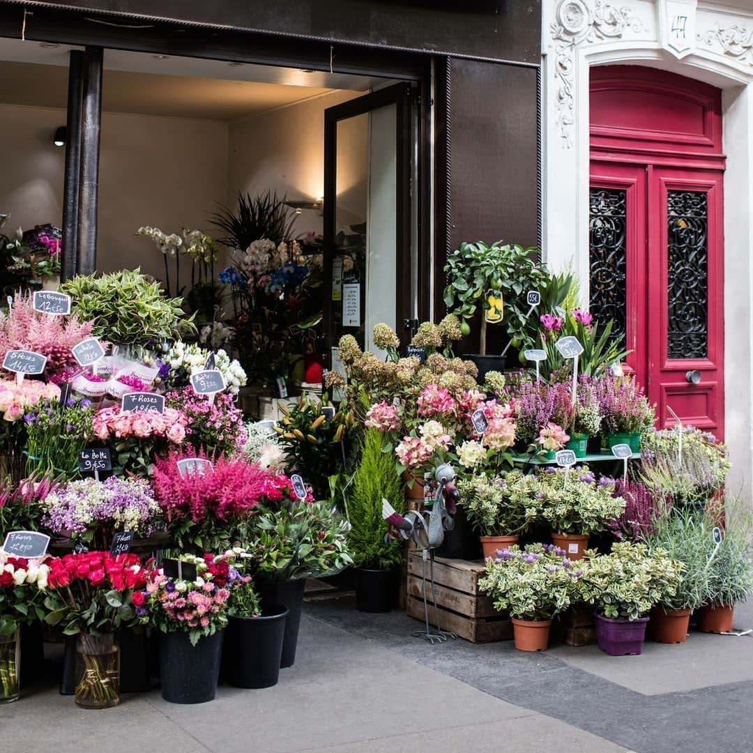 Clarins Australiaのインスタグラム：「Flowers can brighten up a room, but what about your skin?⁣ ⁣⁣⁣ We use Teasel extract in some of our products to help protect the skin for brighter days ahead 💐✨⁣ ⁣ #Clarins #NaturalBeauty #SustainableBeauty」