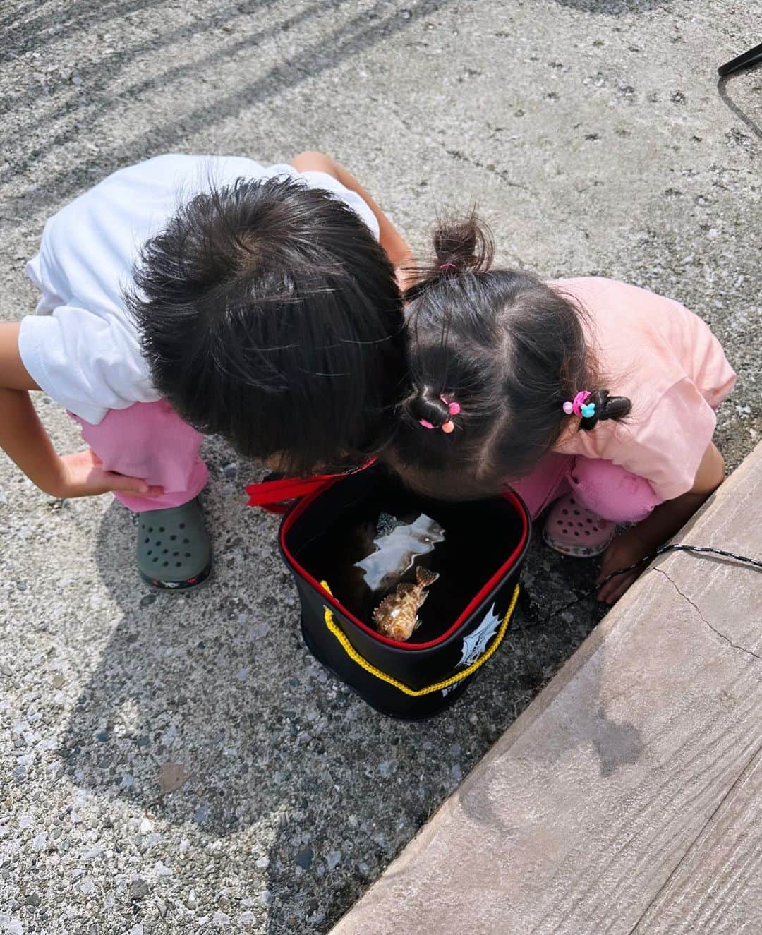 鈴木あきえさんのインスタグラム写真 - (鈴木あきえInstagram)「#横須賀海辺つり公園 へ行ってきました🐟  沖縄で釣りに目覚めてからの、都内近郊攻めです。笑  #海辺つり公園　は 安全対策フェンスや緊急時浮き輪などもあったり、 後ろの芝生エリアにはテントも貼れたりして 子連れ釣りにとても優しい環境でした🎣🩵  この日は #カワハギ #カサゴ #ベラ #オコゼ　（←毒持ってるの知らなかった😱隣のおじちゃんが教えてくれました🐟ありがとうございます🙏🏻）  が釣れたよ😊  早朝から行ったから、 たっぷり堪能したのに 撤退時はまだ昼。  そのあとは 中華街にぷらっと寄って帰ってきました〜🍥  いろんな釣りスポット探したい🎣」8月29日 16時17分 - akiesuzuki0312