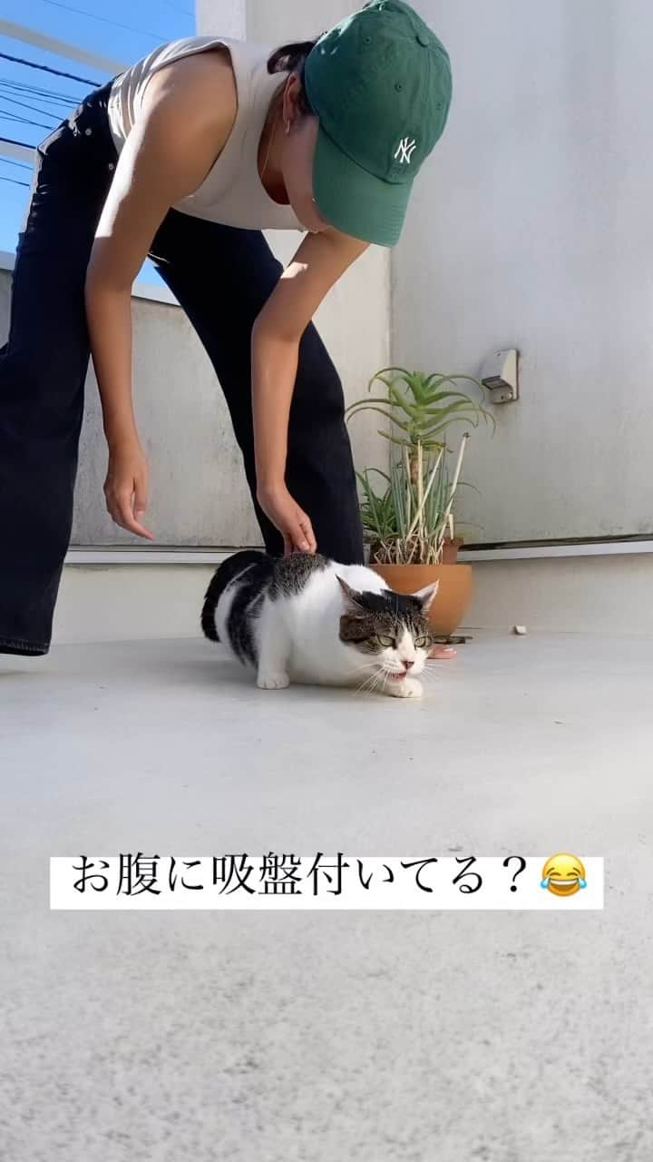 林えみりのインスタグラム