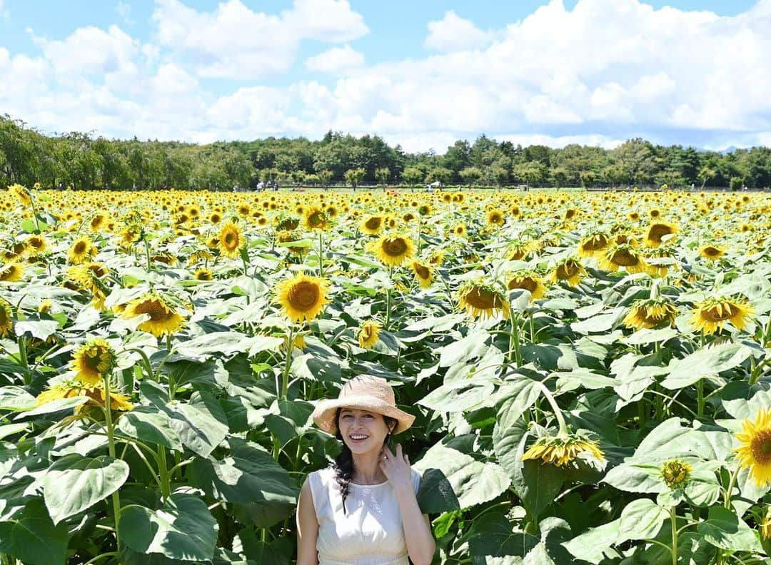 太田景子のインスタグラム