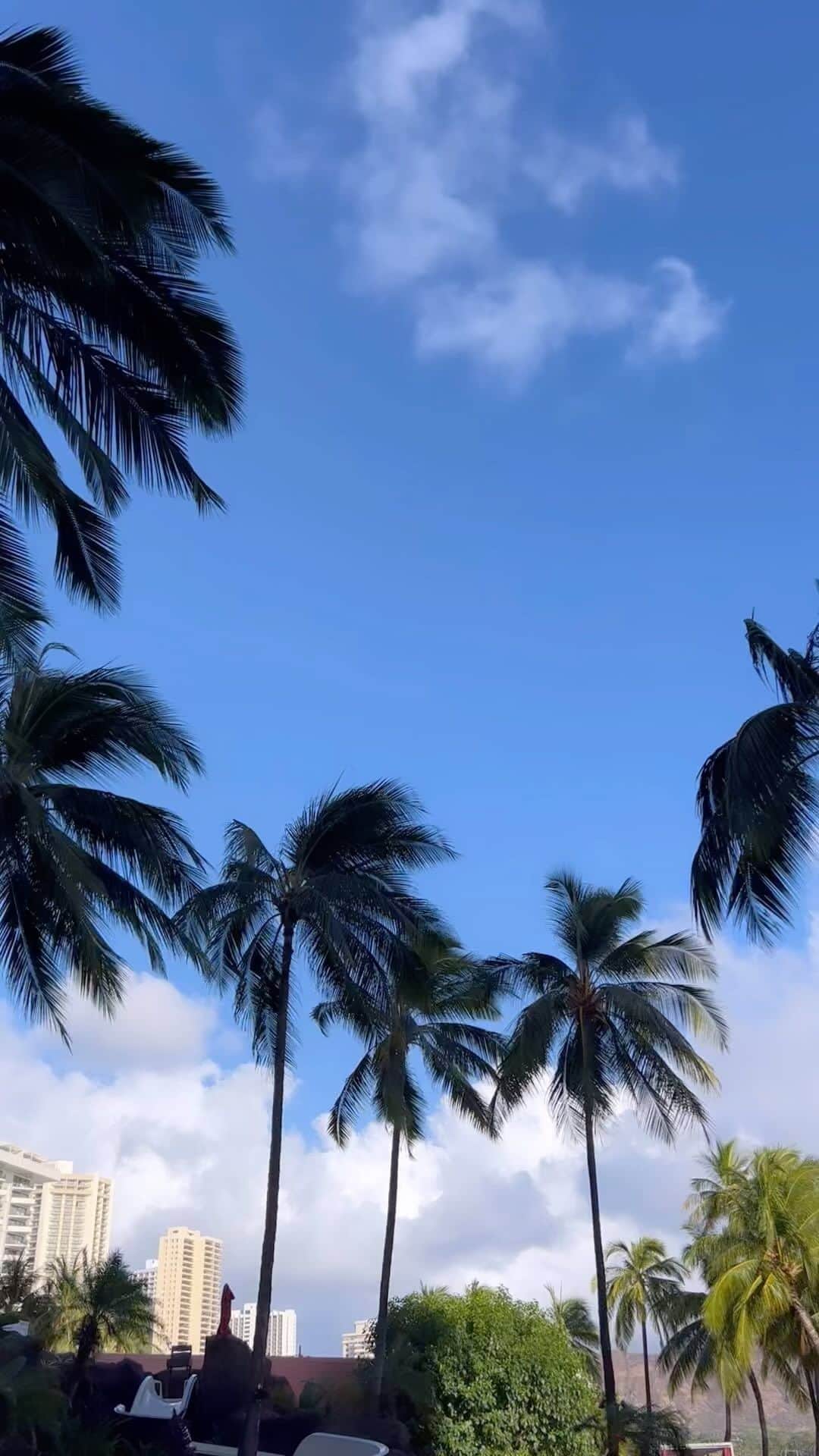 のインスタグラム：「4年ぶりにHawaiiに来ました🌴  まさかの円安💲  とりあえずそこらへんストーリーに沢山載せていきます🌴  #hawaii #ハワイ#子連れハワイ #ハワイ旅行」