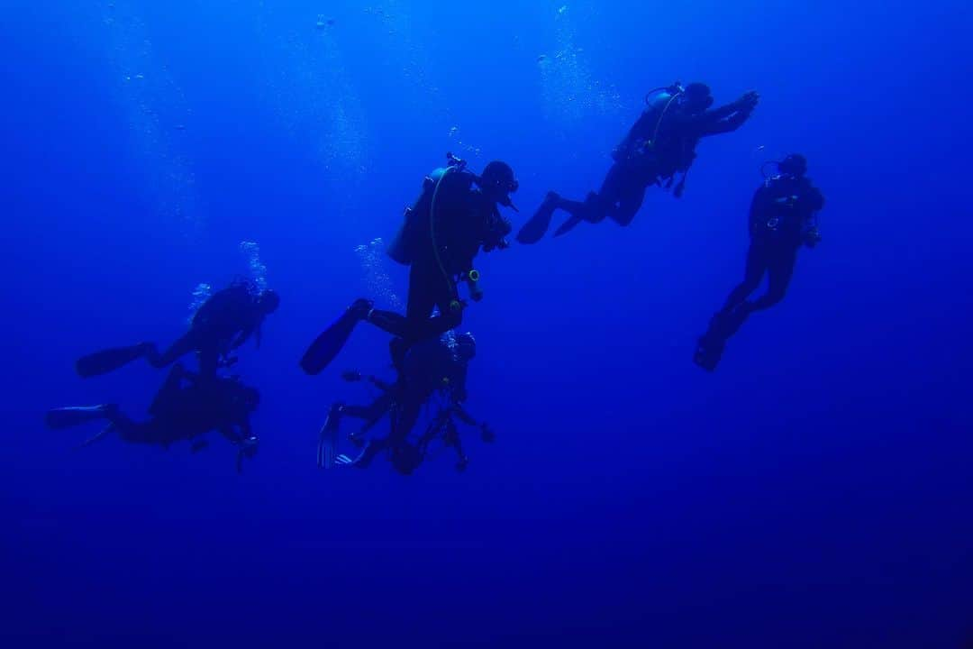 イム・セミさんのインスタグラム写真 - (イム・セミInstagram)「Tubbataha Reefs Natural Park 🇵🇭  투바타하 산호초 국립공원 바다를 만나고 왔어요  MPA 해양보호구역으로 지정된 투바타하는 정말 수 많은 바다생명 물살이들이 가득하고 산호초도 셀 수 없는 종들이 함께 살아가고 있었어요. 🐠🪼🦐🐟🦞🐬🦀🐳🐋🐡🦈   유튜브 세미의절기 ‘처서’편에 바다 영상들이 있어요 🤿💙   📷 @rheec_ @hyojune_shim @tekyoungryu  📼@highmiles_official   #tubbataha #투바타하 #ScubaDiving #세미의절기 #처서」8月29日 17時42分 - susemee