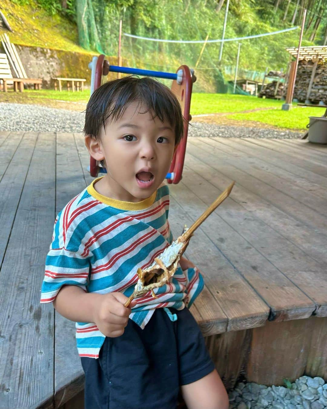 阪本智子さんのインスタグラム写真 - (阪本智子Instagram)「🐟♡  🏠🌱【継流荘】で釣ったアマゴをその場で炭火焼きに！  めっちゃ美味しかった🥹🩷  碧羽はアマゴ初めてだったかな？ モリモリ食べてました😂👍  新鮮な川魚って釣らないとめったに食べられないから 本当に貴重な体験でした✨  ちなみに、 私の釣りデビュー は2歳の頃のアマゴ釣りだったみたいです🎣 全く覚えてないけど笑  釣りしたことがある方！ みなさんの初めての釣りはなんですか😍？  #継流荘 #榎本林業 #一棟貸し宿泊施設 #アマゴ #アマゴ釣り #テントサウナ #兄弟ママ #阪本智子」8月29日 17時50分 - tomoko_sakamoto423