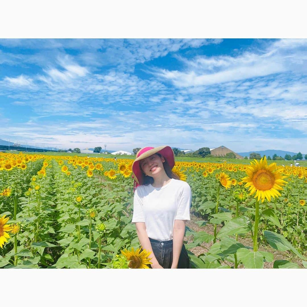 森夏美さんのインスタグラム写真 - (森夏美Instagram)「. 休日、実家に帰ってのんびりしていたら、 「ほら！早くしないと向日葵おわっちゃうよ！」 と母親に呼びかけられた朝7時🥱💤  寝起きのわたしには眩しすぎるほど、 向日葵たちが太陽に向かって 真っ直ぐ咲いておりました🌻  そういえば小さい頃は、 向日葵が咲くのをいつかいつかと 待ち遠しくしてたなぁ。  母よ、布団をはがしてくれてありがとう🙇‍♀️  #ひまわり畑 #夏の思い出 #岐阜 #東海テレビ #アナウンサー #森夏美」8月29日 17時56分 - mori_natsumi0722