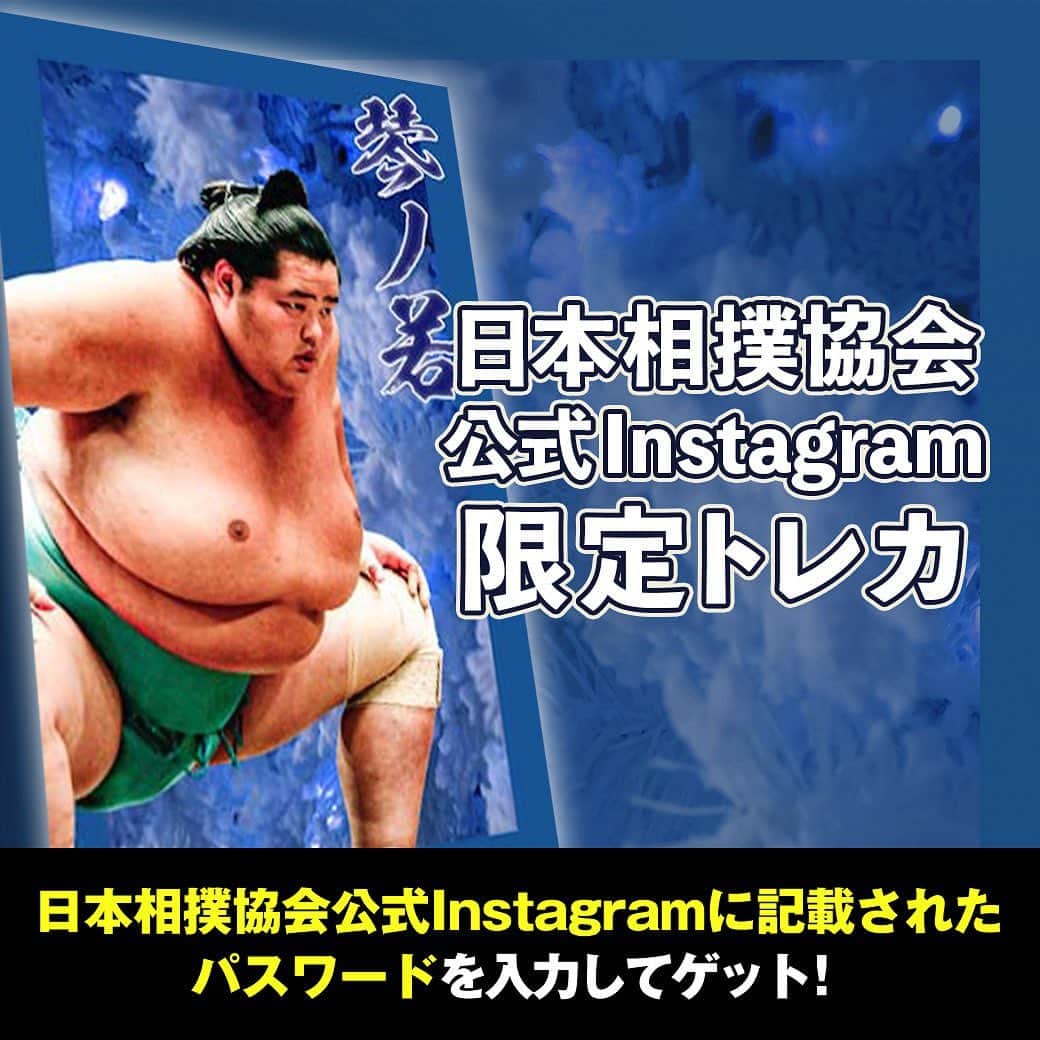 日本相撲協会さんのインスタグラム写真 - (日本相撲協会Instagram)「大相撲コレクション  公式SNS限定デザインのトレカを配布中！ 全3種、3日連続でパスワードを発表。  全種類コンプリートしませんか？ 本日のトレカは琴ノ若！ 2枚目の画像に記載されているパスワードを「大相撲コレクション」内で入力してGETしましょう！  @sumokyokai #sumo #相撲 #トレカ #大相撲コレクション #collection #お相撲さん #japan #japanculture #琴ノ若」8月30日 18時00分 - sumokyokai