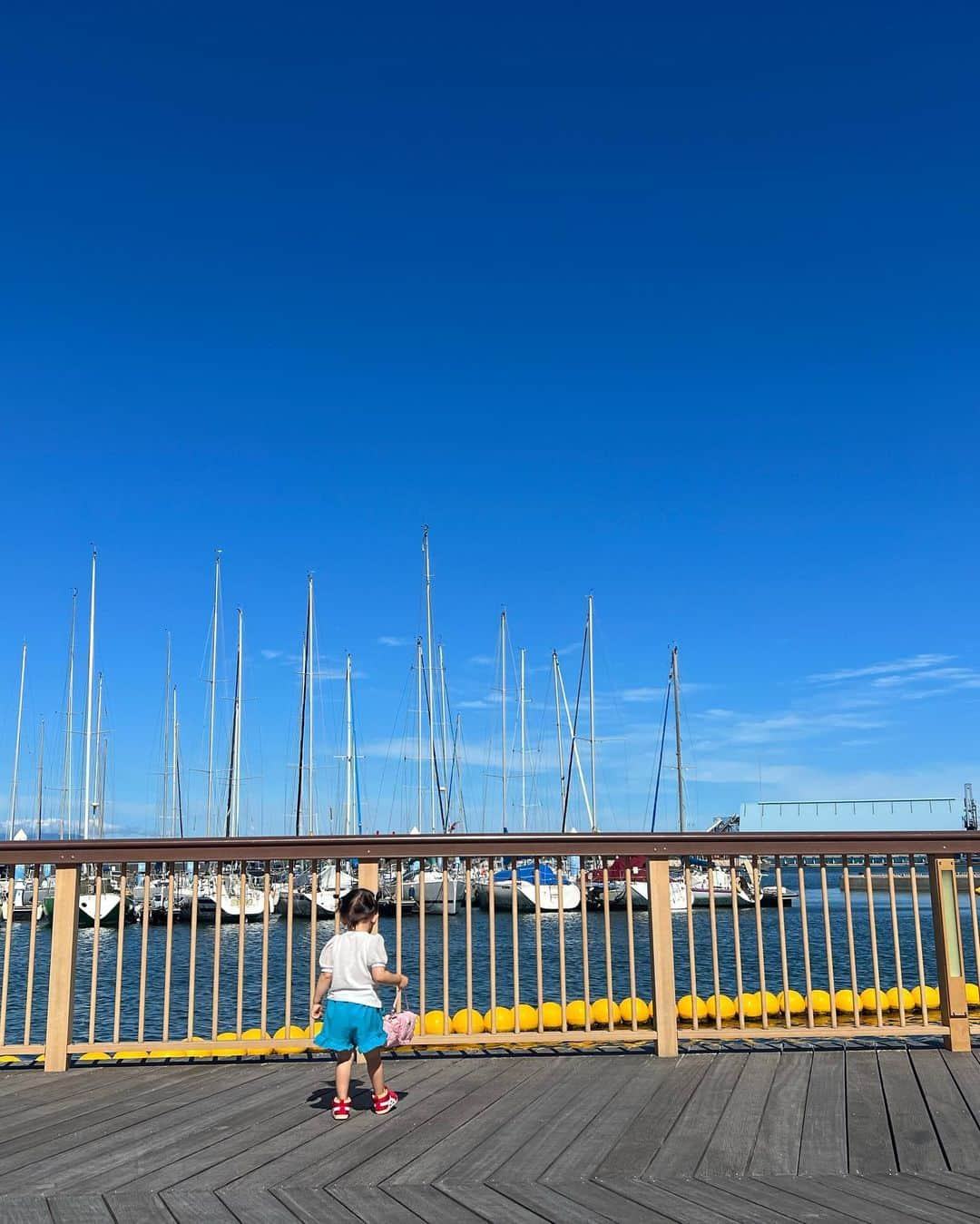 森理世のインスタグラム：「What a beautiful day 💐🫶🏻  #shizuoka #shimizu #japanphoto」