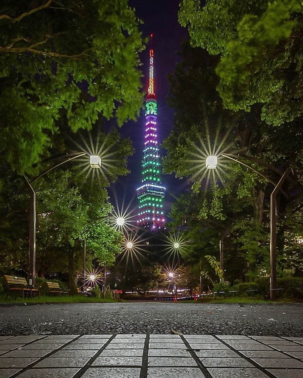 東京タワーさんのインスタグラム写真 - (東京タワーInstagram)「. 昨日、月曜日は インフィニティ・ダイヤモンドヴェール レギュラーライトアップ✨   8月の色、山色（Mountain Green）の 最終日でした！   最終日ということもあってか Your Tokyo Tower🗼には たくさんの山色の東京タワーが投稿されていました！   その中から、本日は @sound_astra1 さんのお写真をご紹介！   東京タワーの人気撮影スポット 都立芝公園4号地からのお写真ですが、   芝公園の緑に挟まれて、 センターで緑色に輝く東京タワー。   緑のコラボと、この構図が良いですよね〜✨ 素敵なお写真をありがとうございました😊  --------------------------------  【 お知らせ 】  ■ Your Tokyo Tower 🗼  # your_tokyotowerで あなたの東京タワーをリポスト！  @tokyotower_official の タグ付けをしてくれると見つけやすいよ！  皆様からの投稿 どしどしお待ちしております！  ■ 公式LINE  東京タワー公式LINEでは 東京タワーのイベント情報を お届けしています！  詳細はプロフィールにあるリンクから↓ @tokyotower_official  --------------------------------  #東京タワー #東京タワー🗼 #tokyotower #tokyotower🗼  #ライトアップ #lightup #緑 #green」8月29日 18時13分 - tokyotower_official