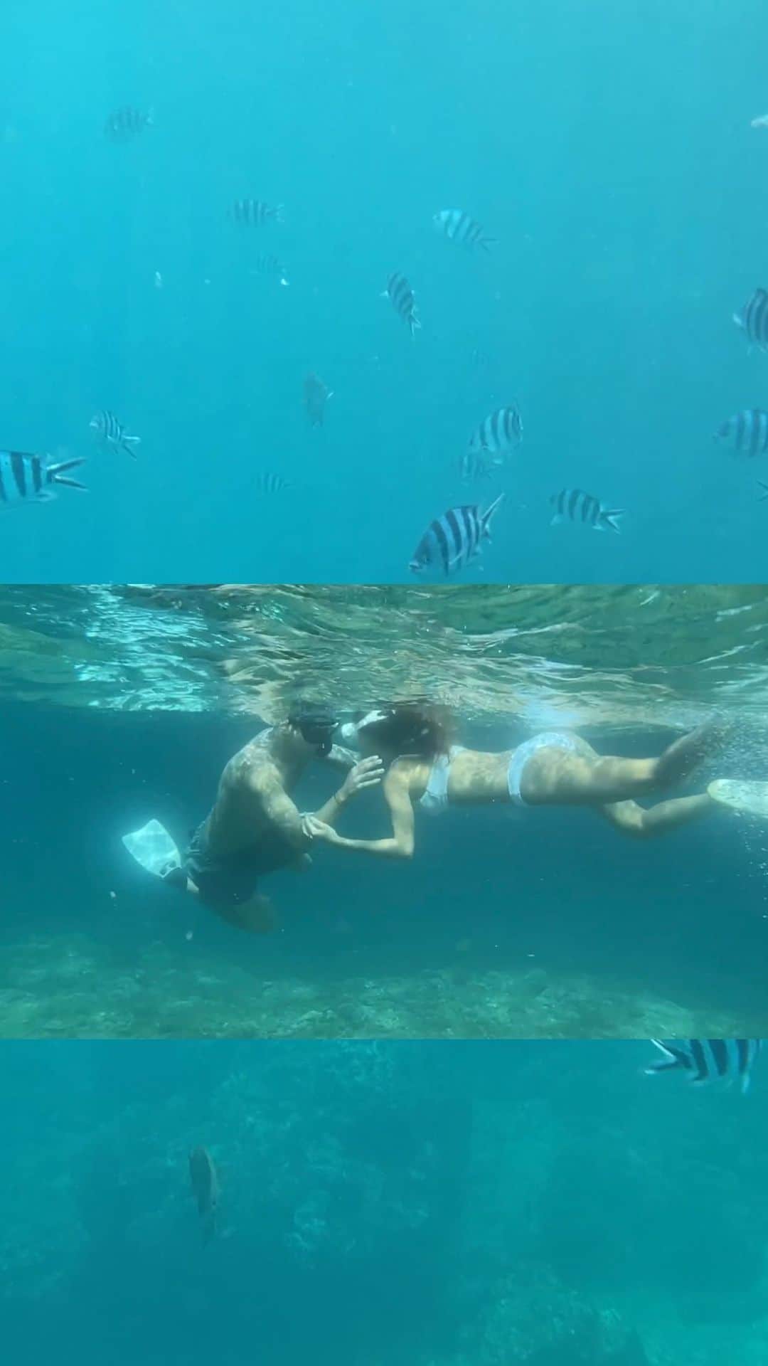 キム・ボラムのインスタグラム：「애드라 🐟🐠 내가 왔어 ~~안녀어엉🤗」