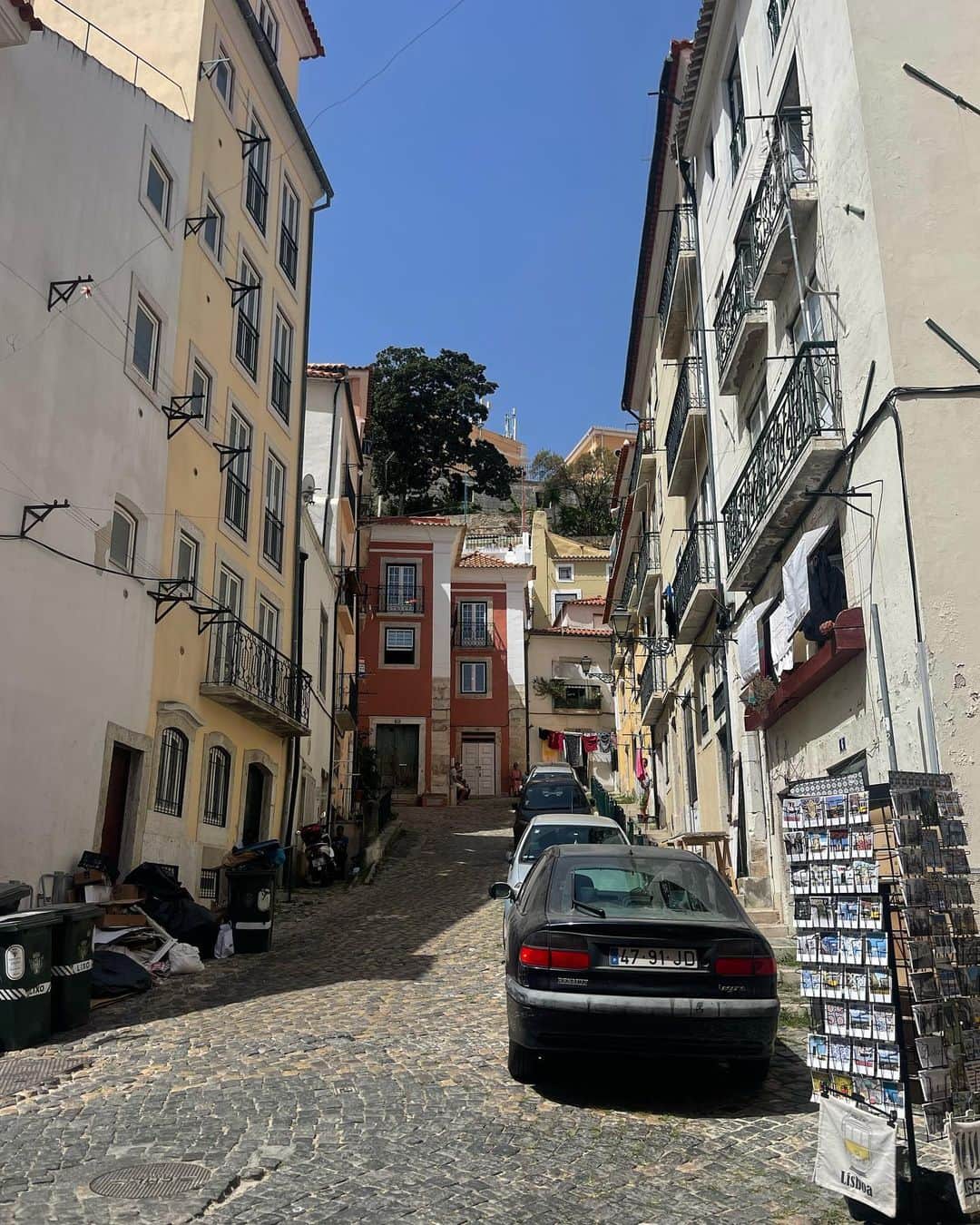 のインスタグラム：「First few days back in Lisboa 🍷🎶🎻」