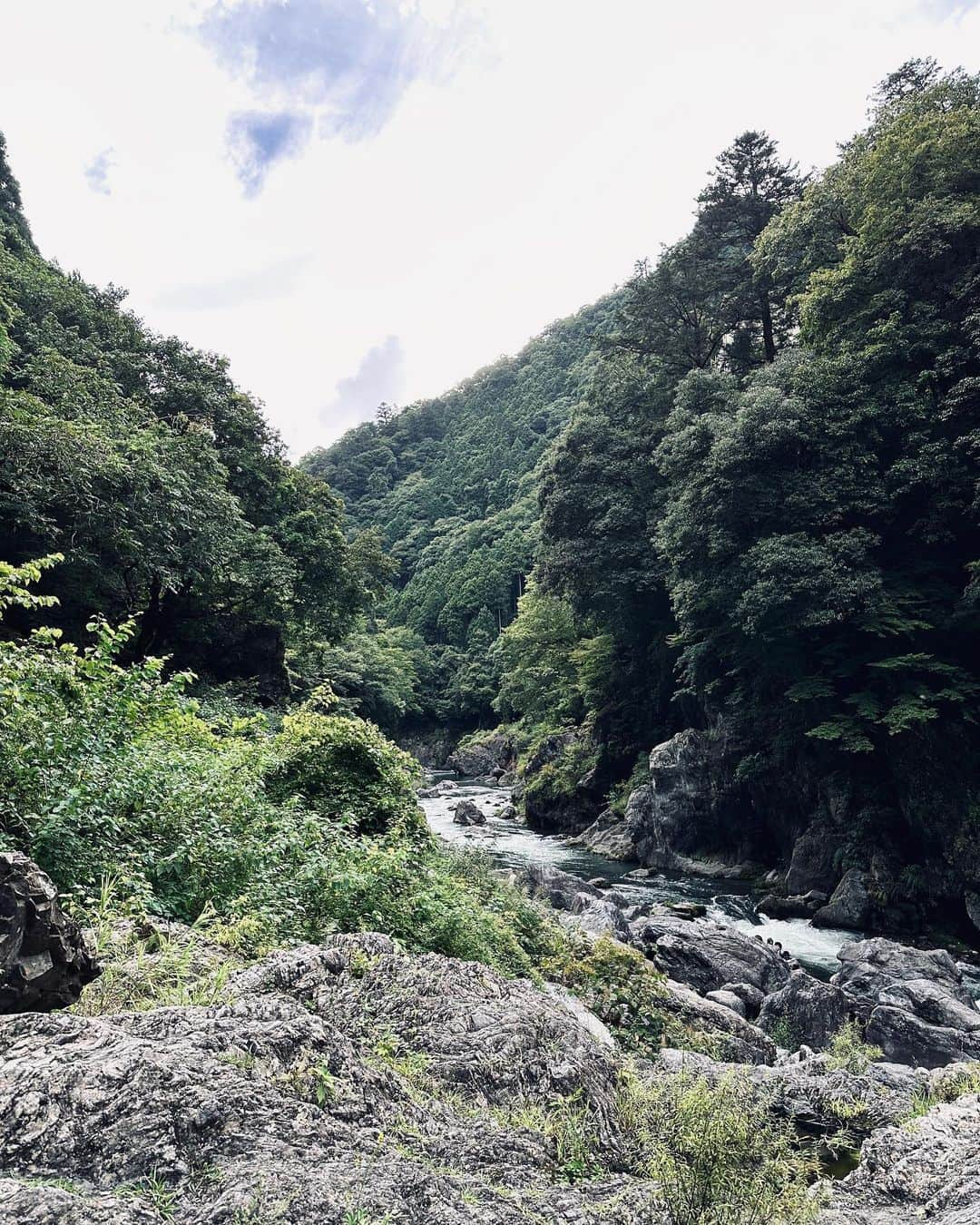 佐野真彩さんのインスタグラム写真 - (佐野真彩Instagram)「奥多摩の鳩ノ巣渓谷シリーズ🐦🌳🏞️ 今日は写真編をお届けします。  #奥多摩　#鳩ノ巣渓谷 #japantravel」8月29日 18時46分 - sano.maya