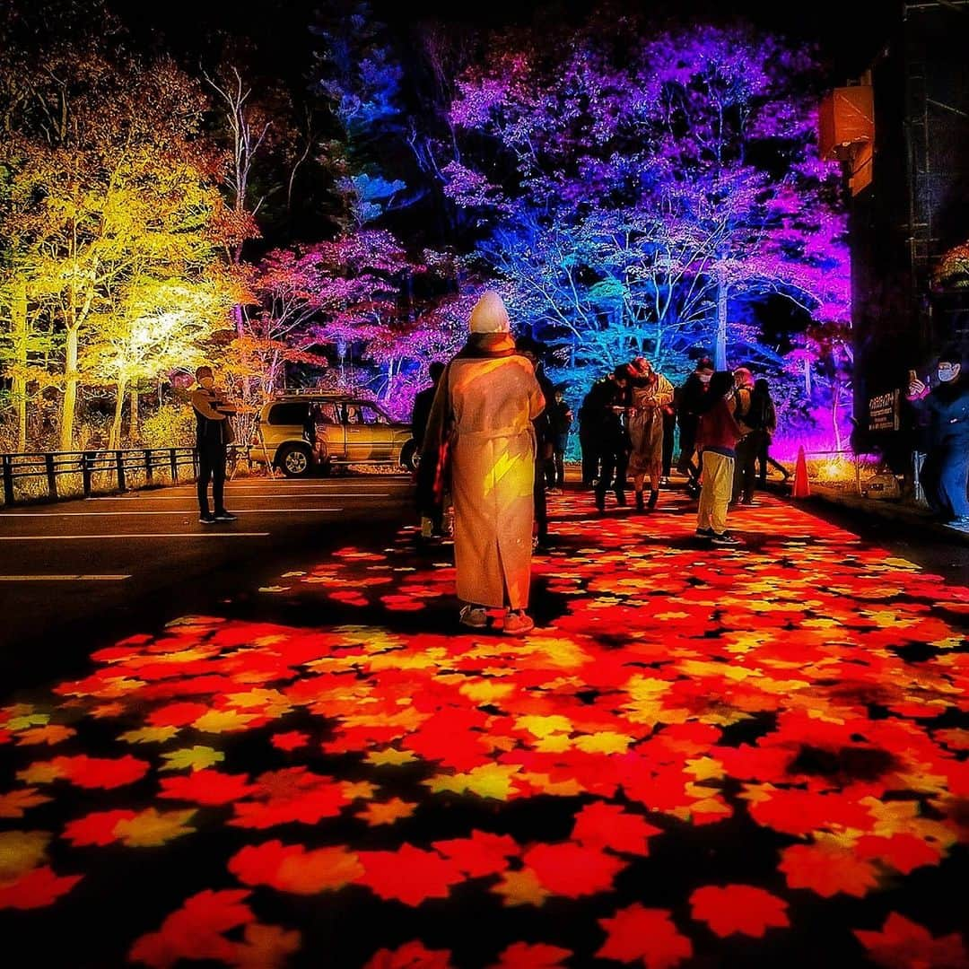 北海道じゃらん【公式】さんのインスタグラム写真 - (北海道じゃらん【公式】Instagram)「【おでかけで元気に♪じゃらんフェスin旭川・層雲峡・旭岳・名寄】開催中！ 秋の紅葉時期は見どころいっぱいの上川北部エリアに行こう！ じゃらんnetでも、北海道じゃらんサイトでも、そして北海道じゃらん9月号でも道北の上川北部エリアの情報満載です！ 今回の投稿ではイベントやトピックの写真をご紹介♪ 是非おでかけの参考にしてくださいね♪  #北海道じゃらん #北海道じゃらん9月号 #奇跡のイルミネート #北の恵み食べマルシェ #食と観光周遊スタンプラリー #トリップブレンダー #イルミネーション #イベント #食イベント #グルメイベント #上川 #旭川 #士別 #和寒 #幌加内 #剣淵 #ドライブ #スタンプラリー #紅葉 #絶景 #秋のおでかけ #紅葉ドライブ #PR」8月29日 18時47分 - hokkaido_jalan