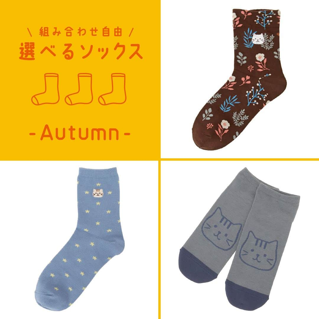 HAPiNSさんのインスタグラム写真 - (HAPiNSInstagram)「. 🍂 秋物ソックス入荷 🍂  「ふくふくにゃんこ」の 新作ソックスが登場しました！  各柄スニーカー丈・クルー丈を ご用意しているので、 服や靴に合わせてお選びいただけます🧦  ┈┈┈┈┈┈┈┈┈┈┈┈┈┈┈┈┈┈  ■Fuku Fuku Nyanko ・花柄スニーカー/ロークルーソックス ・シンプルスニーカー/クルーソックス ・星柄スニーカー/クルーソックス  1足￥418(税込) 3足￥1,100(税込)  対象のソックスを 自由に組み合わせてご購入できます。  ┈┈┈┈┈┈┈┈┈┈┈┈┈┈┈┈┈┈  #HAPiNS #ハピンズ #雑貨 #プチギフト #ふくふくにゃんこ #fukufukunyanko #猫 #ネコ #ねこ #猫グッズ #父の日ギフト #父の日プレゼント #猫靴下 #ソックス #靴下  ※店舗によりお取り扱いが無い場合がございます。 　ご了承くださいませ。」8月29日 19時00分 - hapins_official